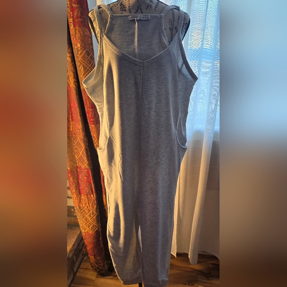 Sincerely Jules Light Gray Overalls